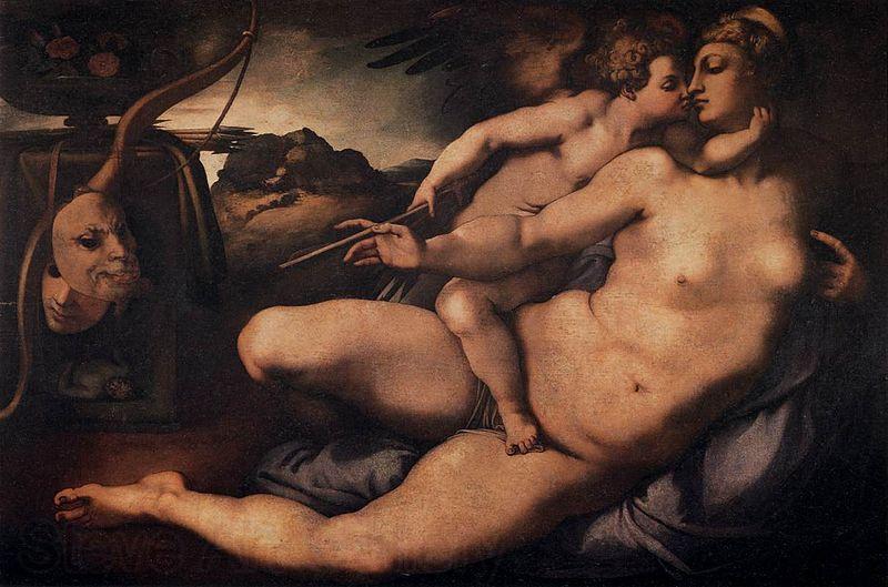 Jacopo Pontormo Venus and Cupid Germany oil painting art